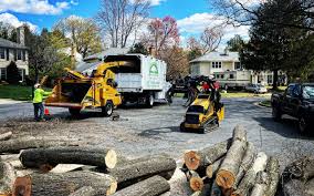Best Tree Preservation Services  in Malibu, CA