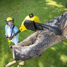 Best Lawn Maintenance Plans  in Malibu, CA