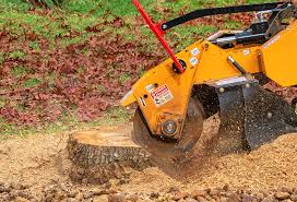 Best Lawn Disease Treatment  in Malibu, CA